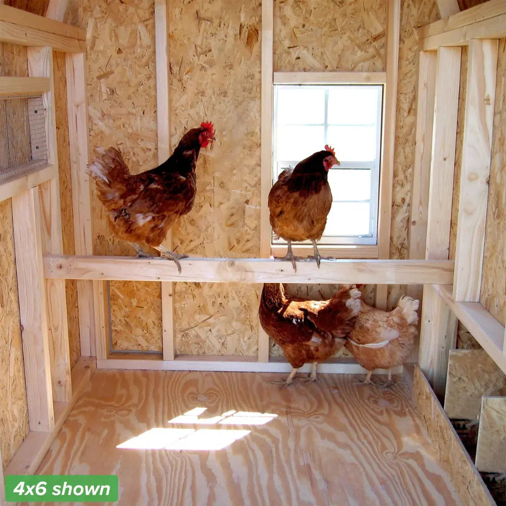 Little Cottage Co. Gambrel Barn Chicken Coop