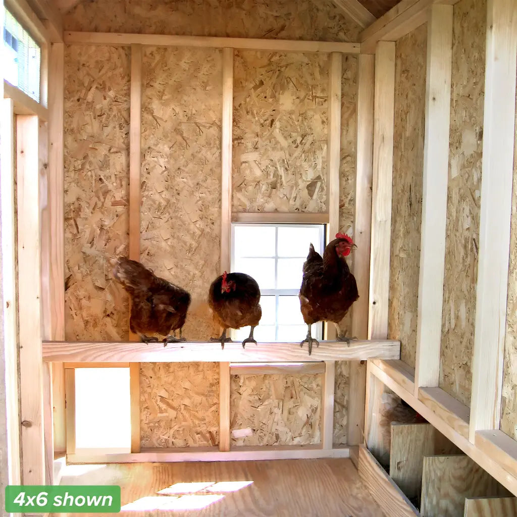 Little Cottage Co. Colonial Gable Chicken Coop
