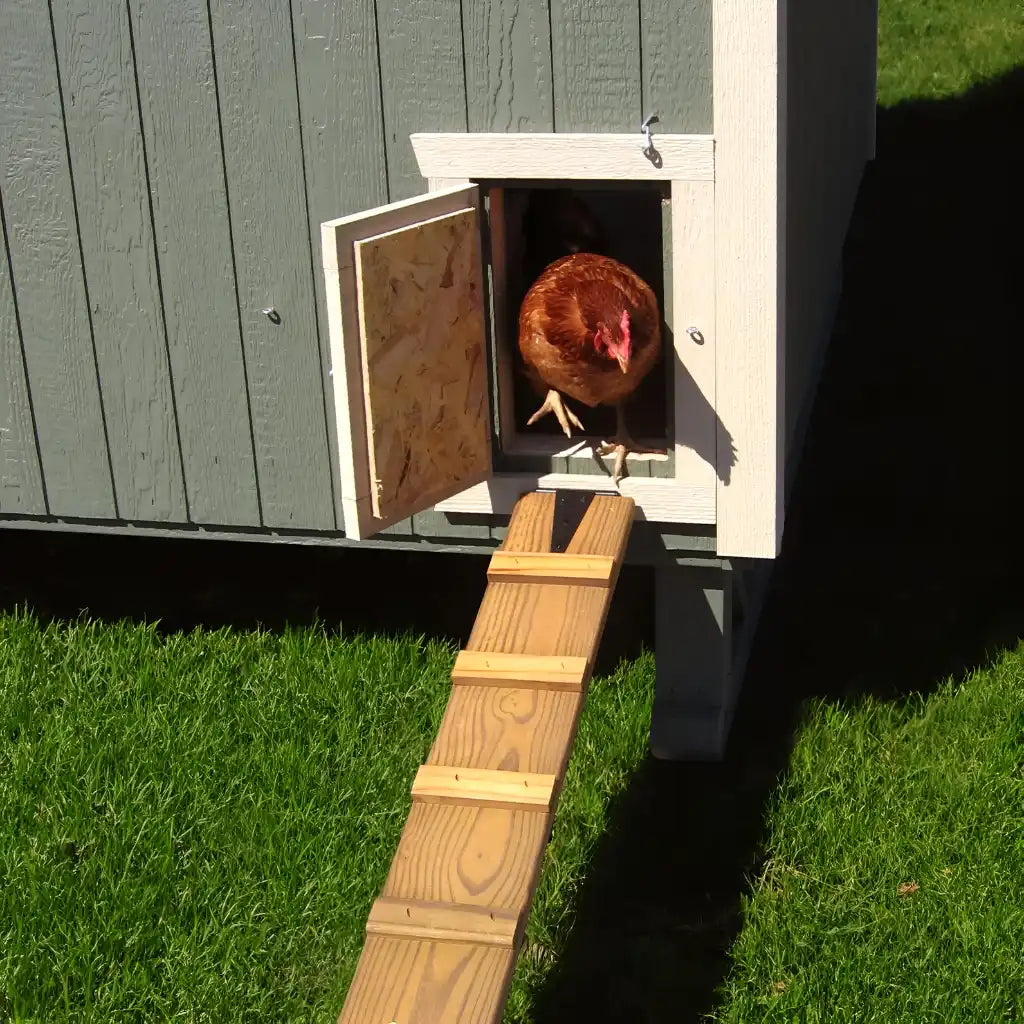 Little Cottage Co. Colonial Gable Chicken Coop