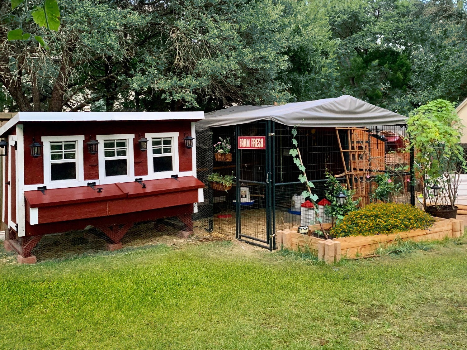 OverEZ Chicken Coop XL Flock Bundle Pro