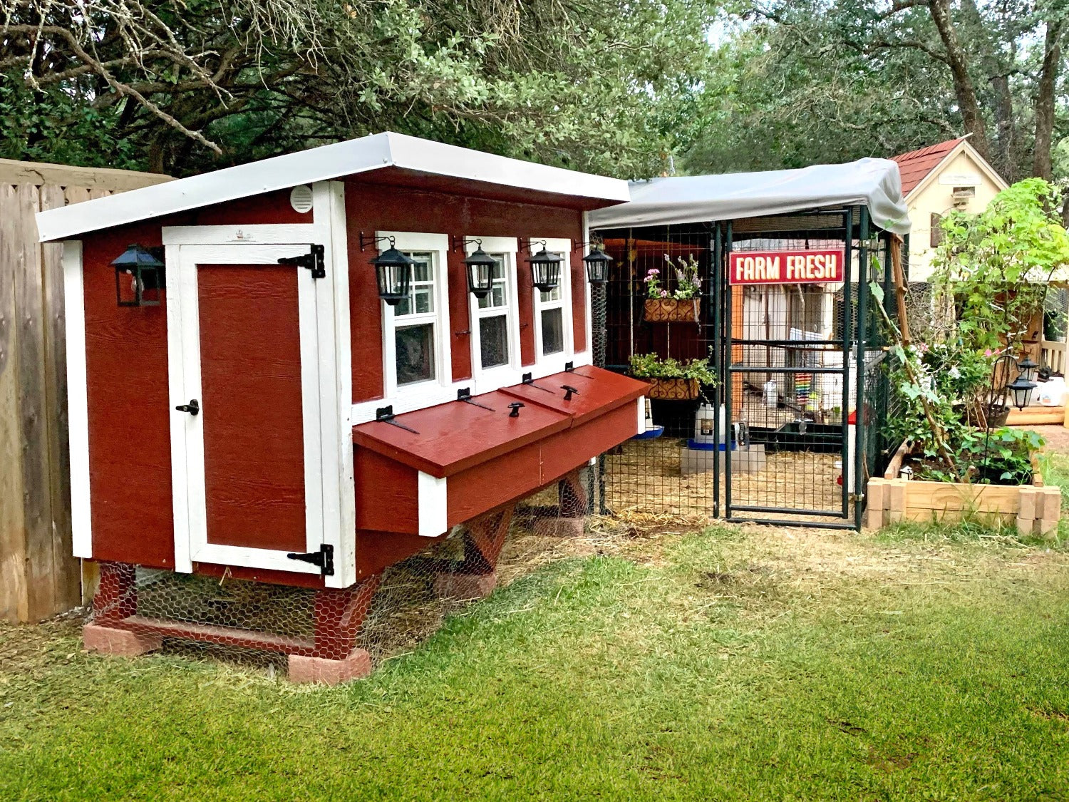 OverEZ Chicken Coop XL Chicken Coop - Up to 20 Chickens