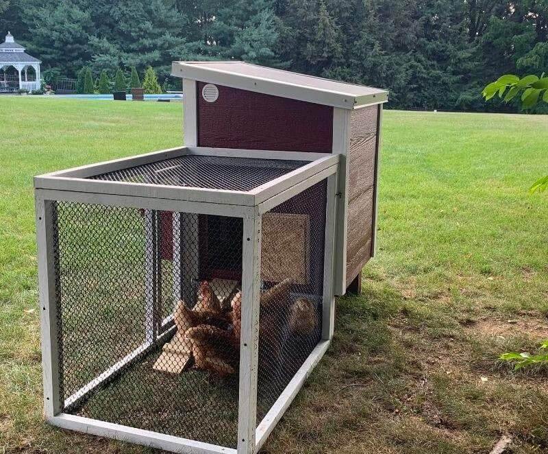 OverEZ Chicken Coop In A Box - Up to 5 Chickens