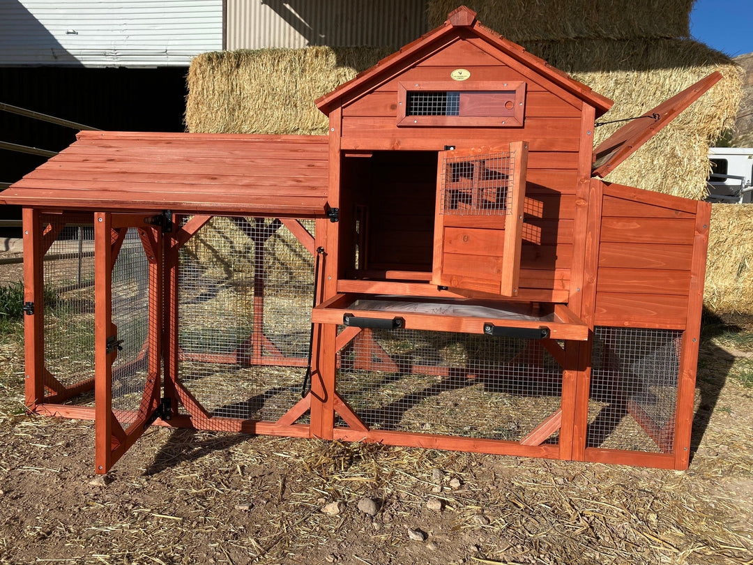 Chicken Coop for 4+ Chickens – Leghorn Cottage Chicken Coop