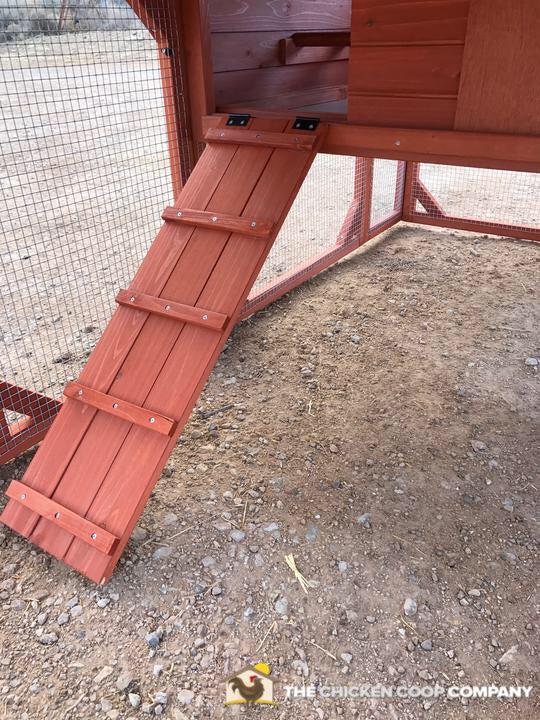 Chicken Coop for 4+ Chickens – Leghorn Cottage Chicken Coop