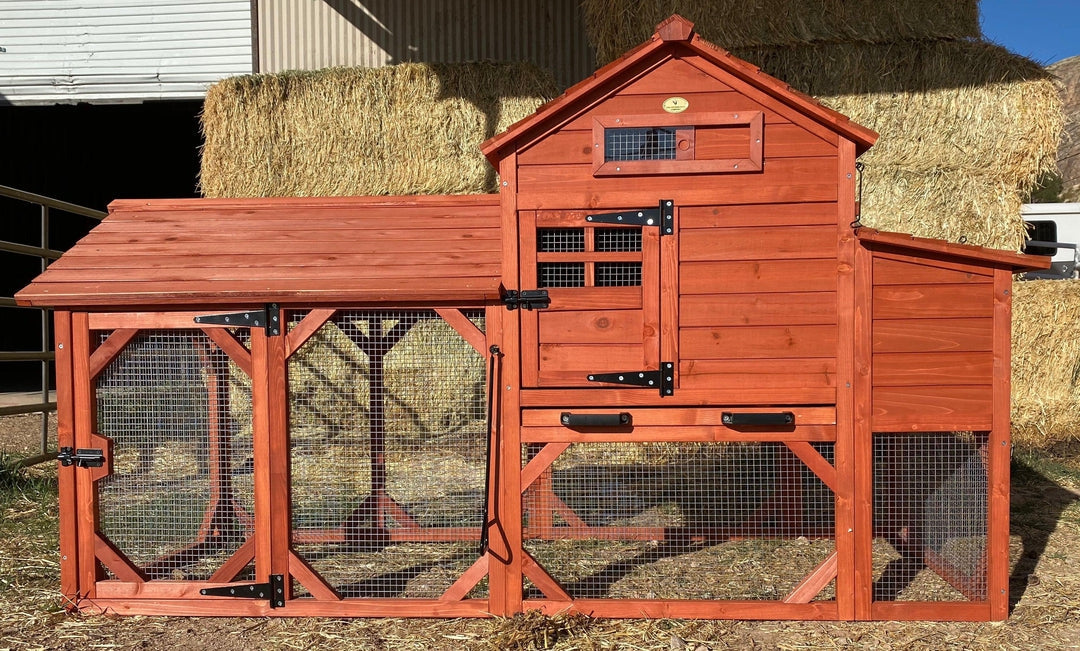 Chicken Coop for 4+ Chickens – Leghorn Cottage Chicken Coop