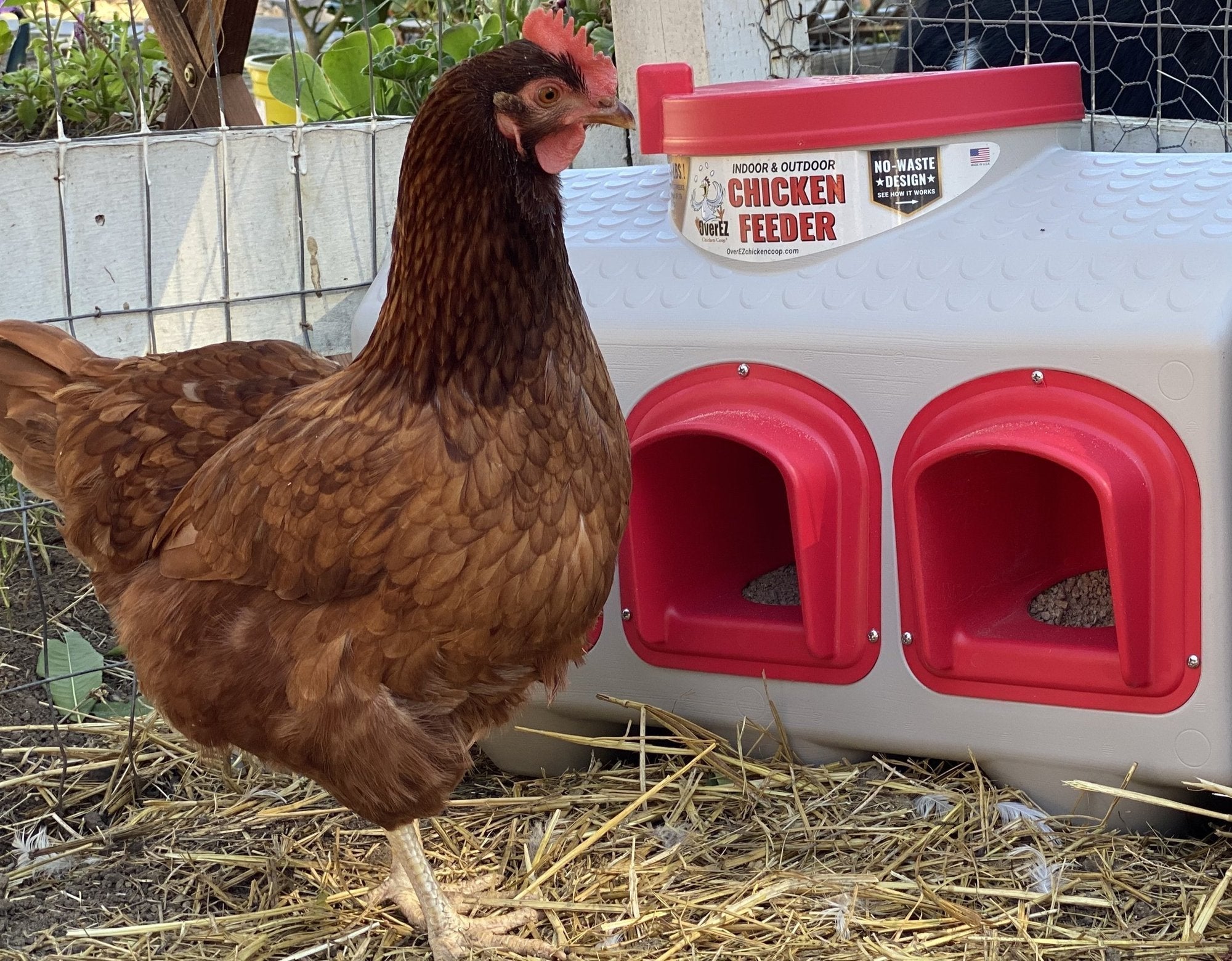 OverEZ Chicken Coop Medium Flock Bundle Basic
