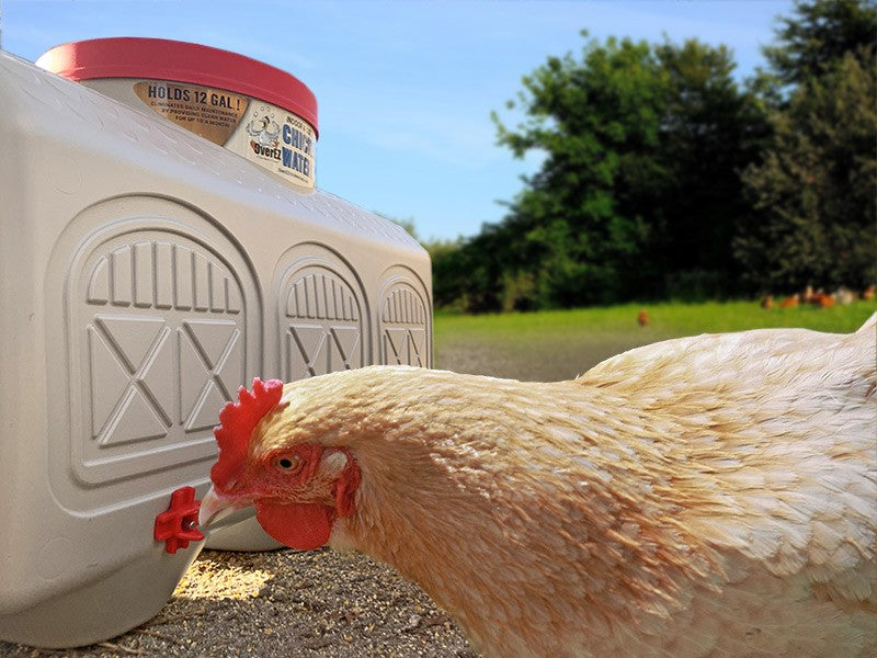 OverEZ Chicken Coop Medium Flock Bundle Basic