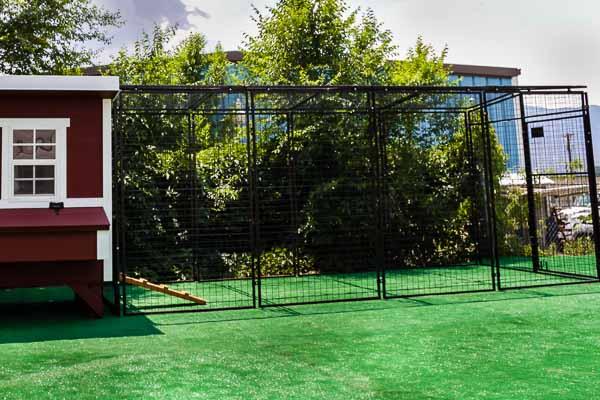 OverEZ Chicken Coop XL Flock Bundle Pro