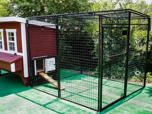 OverEZ Chicken Coop Medium Flock Bundle Pro